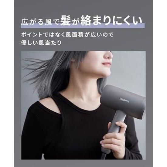 SALONIA Smooth Shine Dryer Large Airflow Fast Drying Lightweight Hair Gray