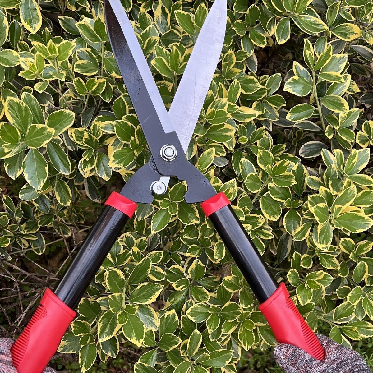

Telescopic Heavy-Duty Hedge Trimmers and Garden Pruning Shears for Thick Branches.