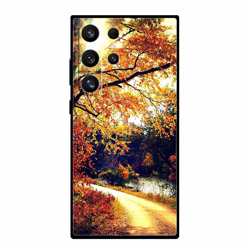 For Samsung Galaxy S25 Ultra Cover Lion Tiger Black Silicone Painted Starry Cat Case For Galaxy S24 S23 S22 S21 Ultra TPU Shell