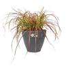 ELHO Pot de fleurs rond Vibia Campana - Ø 55 x H 47 cm - Extérieur - 100% recyclé - Noir