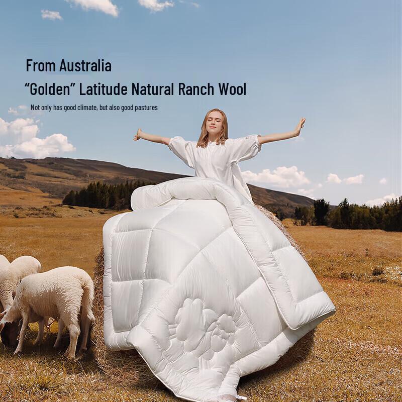 Mercury Home Textiles Premium Australian Wool Quilt