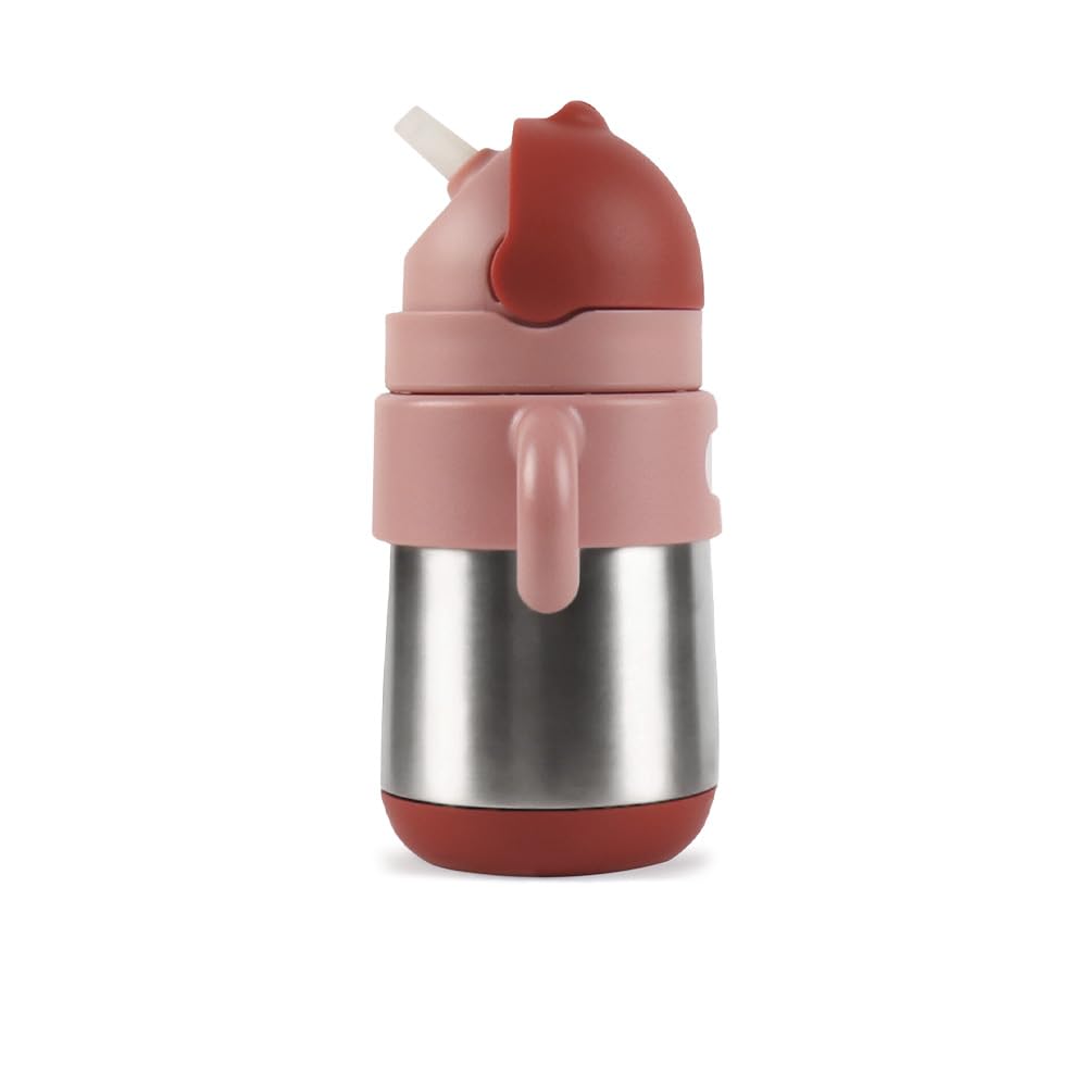 Meroware Baby Thermos with Stainless Steel Insulated Straw for Boys and New Matt Matte New Muted Baby Gift Straw, 270ml, Mug, Toddlers, Girls, Color,