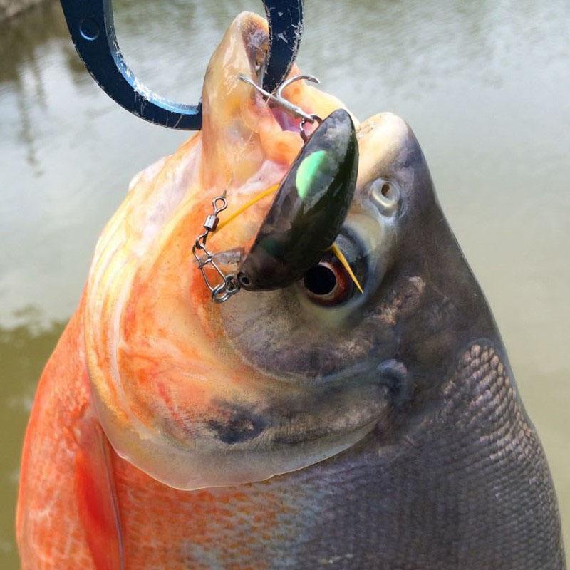 Luya Bait Hard Bait Beetle Xiaoqiang Bionic Fake Bait 3.5Cm/4G Insect Bait Water Surface Fish Bait