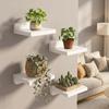 4 Stück Einfache Kleine Schweberegale Holz Pflanze Blumentopf Tablett Wandmontierte Regale für Küche