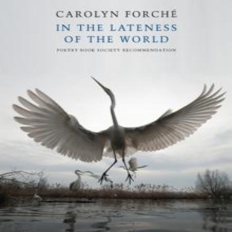 In the Lateness of the World by Carolyn Forche Paperback Book 9781852249649