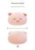 Big Face Pig Plush Pillow - Cute Office Nap Cushion & Sofa Doll, Perfect Birthday Gift