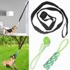 Cross-Border Hot-Selling Pet Toys: Molar Cleaning Chew Rope & Ball, Interactive Tug-of-War Knot for Dogs, Both Outdoor & Indoor Use.