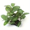 1PC Simulated Water Plants Turtle Tank Scenery Aquarium Fish Tank Decoration Sunken Wood