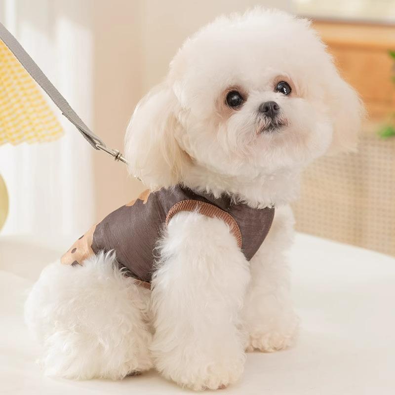 Spring and Summer Breathable Mesh Bear Medium and Small Dog Teddy Bigbear Vest Pet Clothing Cat Puppy Dog Clothing