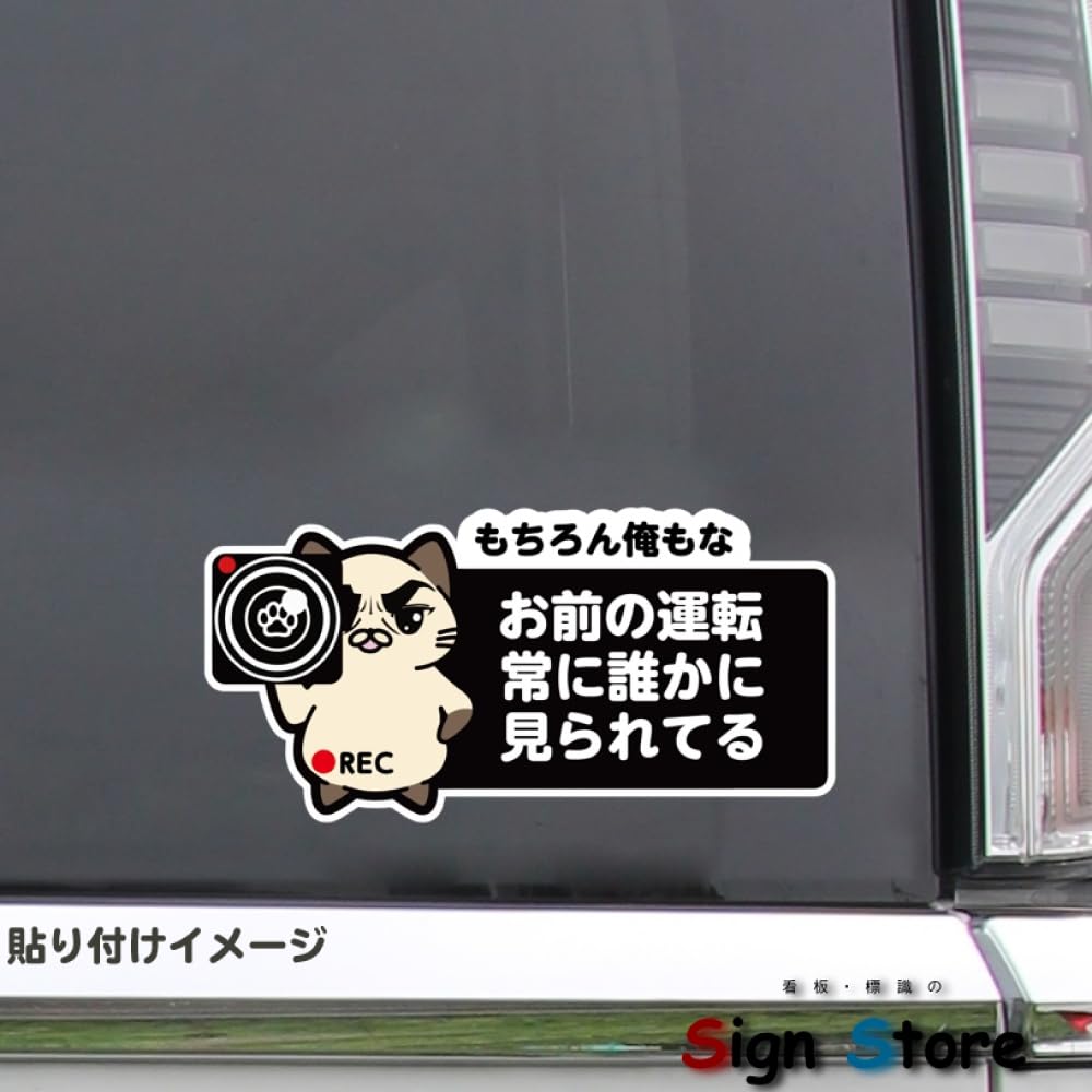 SignStore Cat Holding Camera Traffic Safety Sticker 8cm x 16cm Vinyl Made in Japan car_character_01 (Tai Mayu A)