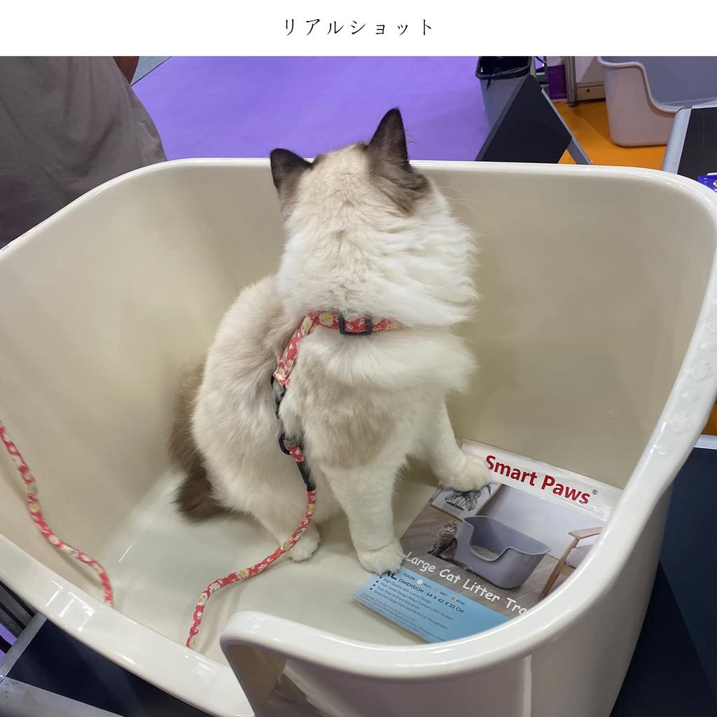 Smart Paws Big Cat Litter Cute Cat Litter Box 64x42x33cm Box, (Cream)
