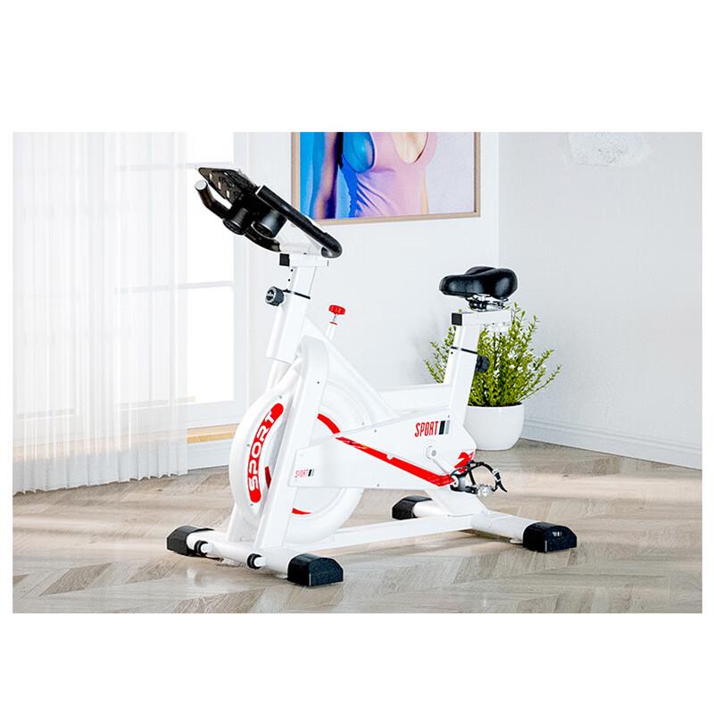 Lanou Stationary Exercise Bike CN plug (adapter included)