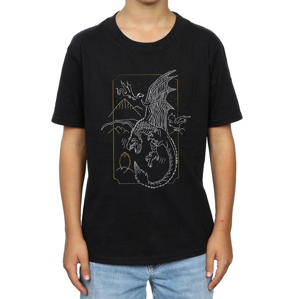 HARRY POTTER Boys Dragon Line Art T-Shirt