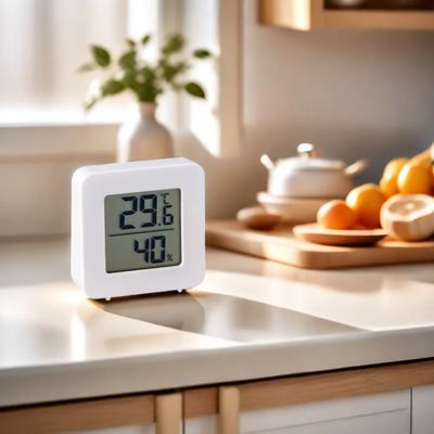 Mini LCD Hygrometer Thermometer Indoor Household New Digital Hygrometer Digital Display