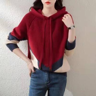 Knit Sweater Hooded Thickened Sweater 2022 New Bottoming Shirt Top Outer Wear Spring and Autumn Sweater Women Loose Pullover
