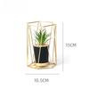 Iron Handicrafts Nordic Creative Luxury Simulation Plant Ornaments Flower Pots Desktop Potted Plants Home Decoration Ornaments