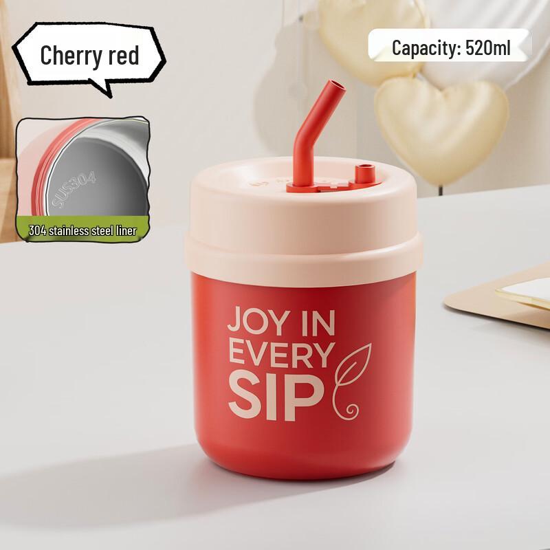 OLOEY Double Wall Insulated Stainless Steel Straw Mug