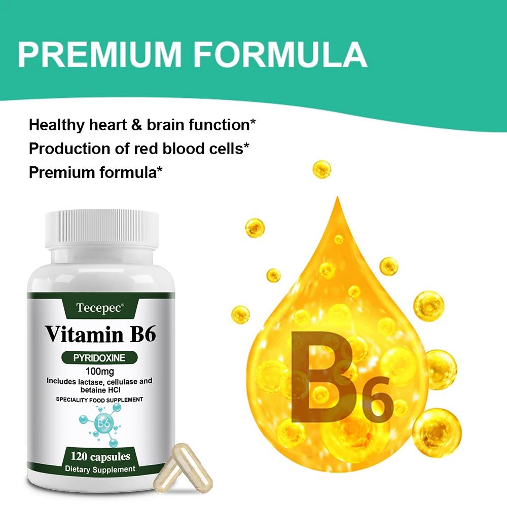 Vitamin B6 (Pyridoxine) 100 Mg Dietary Supplement, 120 Capsules Per Bottle