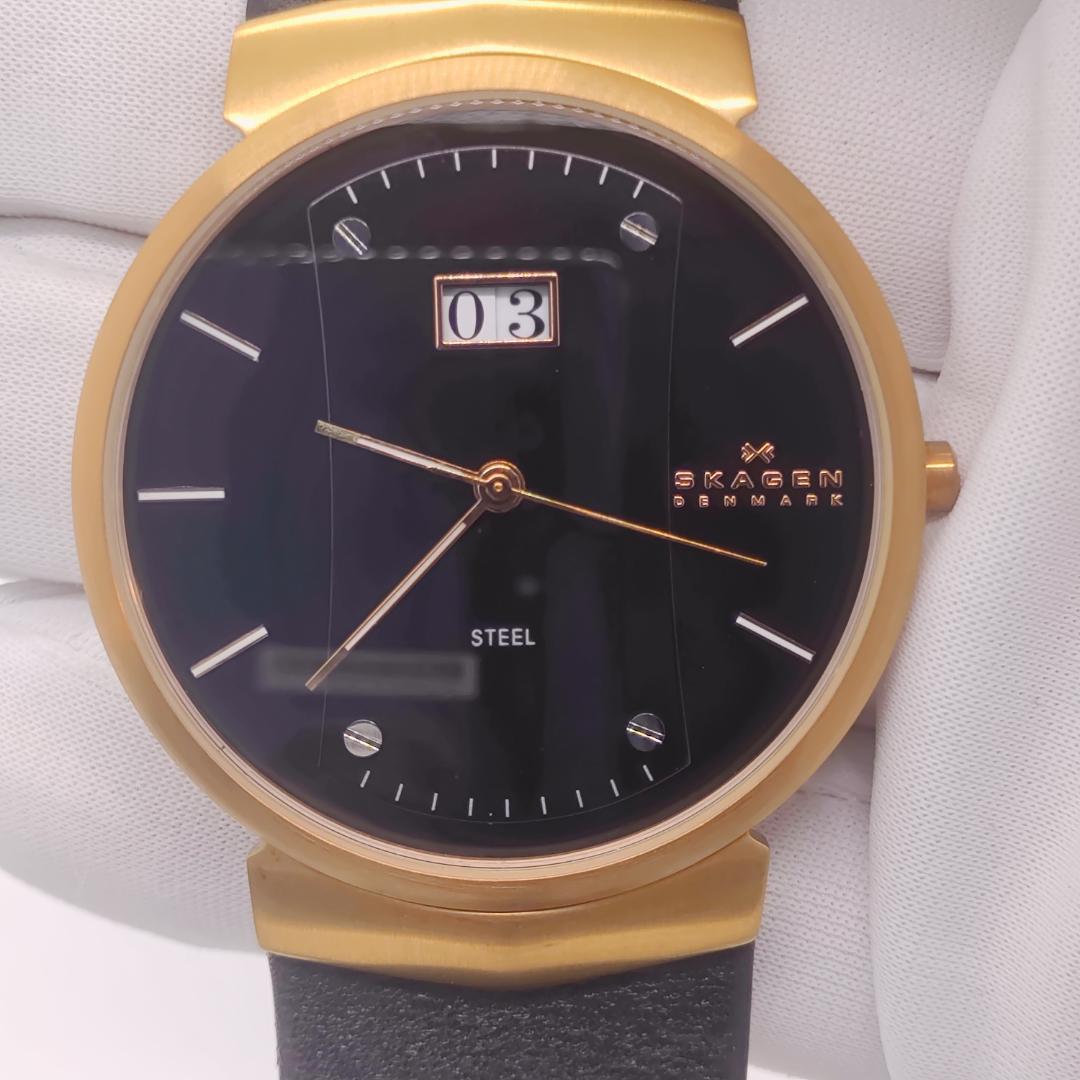 Used [Operation and accuracy confirmed] Skagen SKAGEN men s watch 697XLRLB