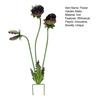 Metal Carnivorous Plant Garden Stake 25-Inch Large Venus Flytrap Flower Sculpture for Outdoor Garden Patio Lawn Yard Decor