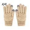 Skiing Hand Warmers 1 Pair Winter Warm Fleece Lined Gloves for Women Men, Cold Versatile Outdoor Sports Weather Thermal Gloves, Thickened Knit
