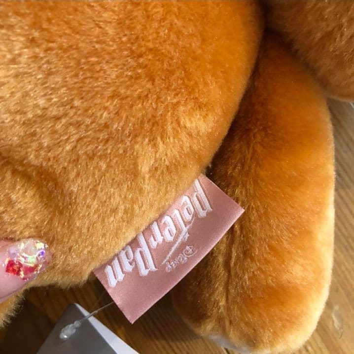 [USED] Peter Pan Michael Teddy Bear Plush Toy Disney Store