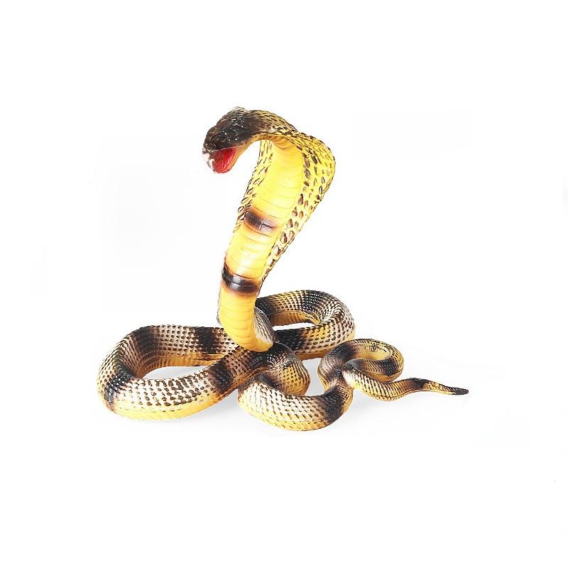 Children Fake Snake Toy With Realistic Sound And Flexible Plastic For Play And Educational Use