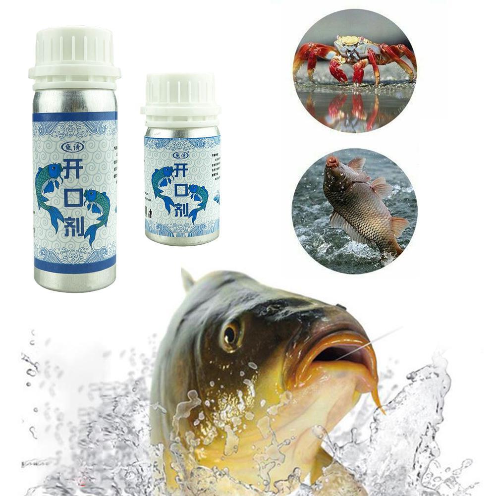 Buy Fishing Bait Additive Powder Carp Attractive Smell Additives Fish