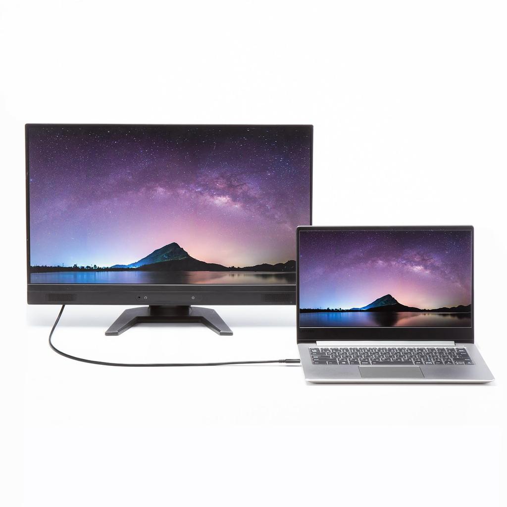 SANWA SUPPLY USB 40Gbps (USB 4 Gen 3) Type-C Cable KU-40GCCPE10