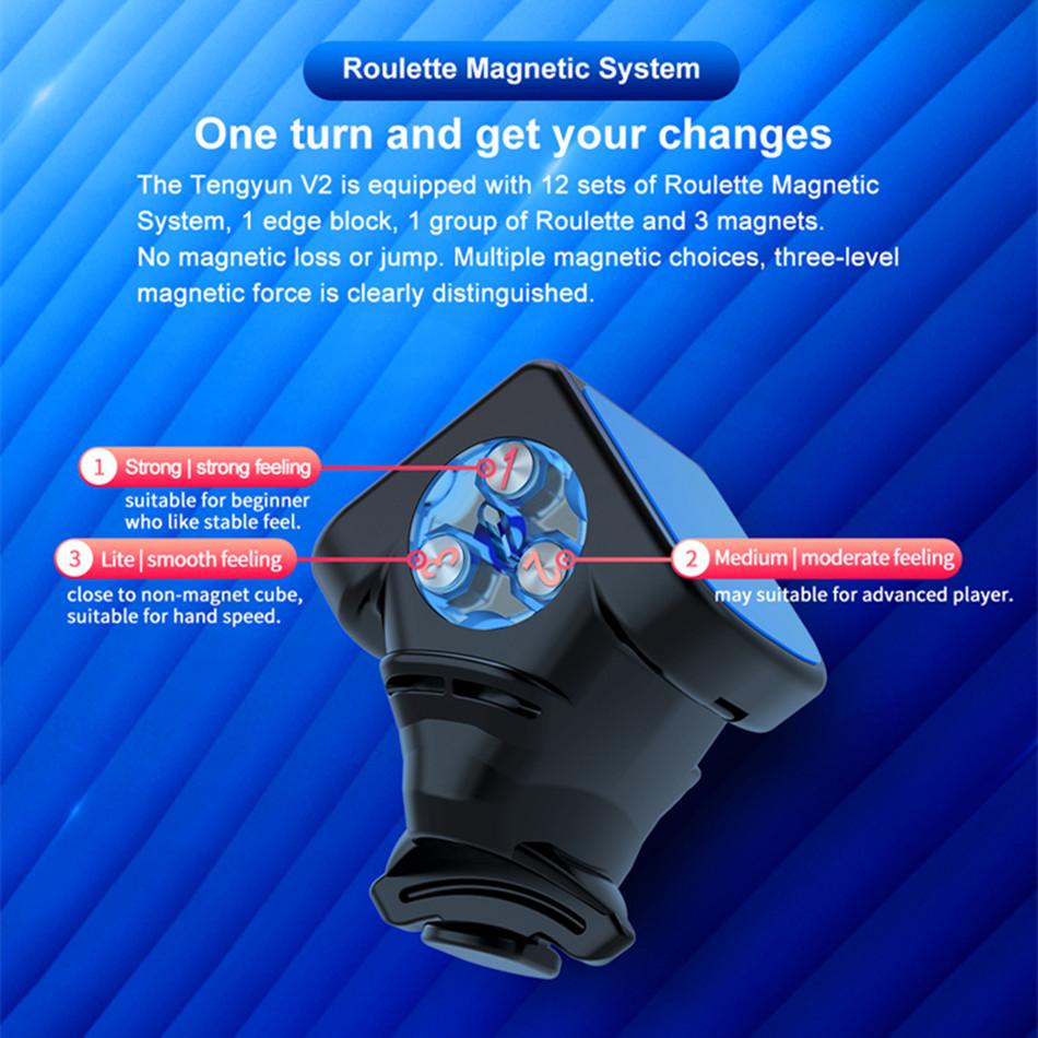 Tengyun V2 M 3X3X3 V1 V2 Magnetic Cube Professional Dayan V8 3X3 / V2M 3X3 Magic Speed Cube Teng Yun 2X2 Puzzle Educational Toy