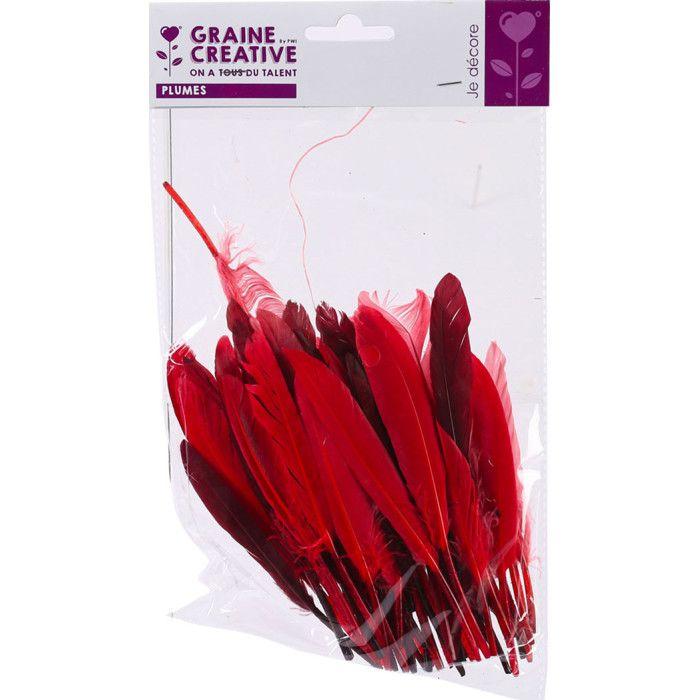 Plumes d'indien - Camaïeu - Rouge - Sachet de 10g - Environ 40 plumes - Longueur 15 cm
