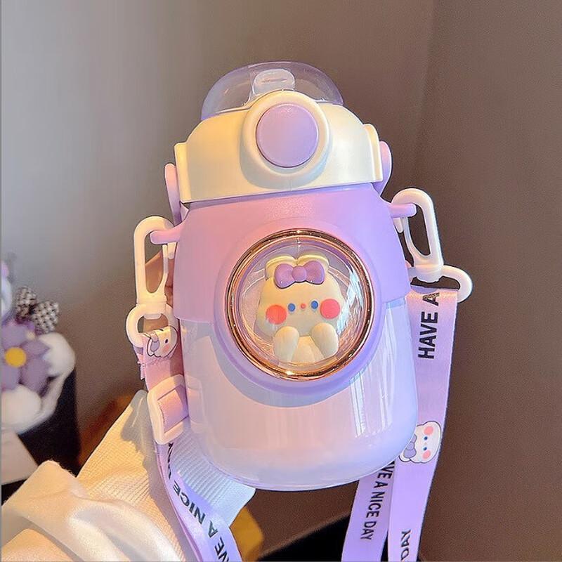 Duo Li 316 Stainless Steel Insulated Pop-up Water Bottle