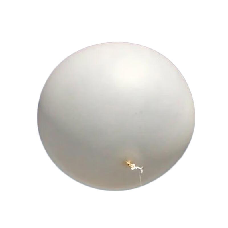 Leopard Guardian High-Altitude Weather Balloon