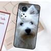 Westie Dog Case For Honor Magic 8 Pro 5 6 7 Lite X9a X9b X9c X9d X8c X8b 50 70 90 200 400 Win RT Cover