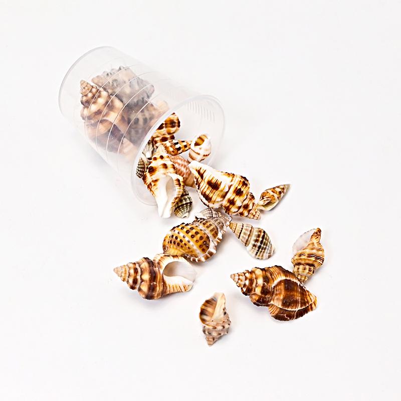 

1 Набор DIY Аксессуары Миниатюрный Ландшафтный Дизайн Натуральные Ракушки Океанский Стиль Натуральный Рапан DIY Материалы для Ювелирных Изделий Разные