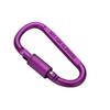 D-Shaped Colorful Aluminum Carabiner Multi-Functional Quick Link Backpack Hook