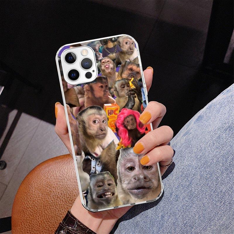 Monkey Memes Phnoe Case for Iphone 17 Air 16 16E 11 12 13 Mini 14 Plus 15 Pro Max 7 8 + SE 2020 Phone Cover Coque