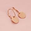Color Gold Purple Gold Glossy Round Earrings Rose Gold Plated Classic Simple Fashion Ear Buckle