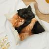 1Pc Cats Hugging Sleeping Printed Throw Pillow Cover, Suitable For Sofa,Bedroom,Living Room, Easily Create A Healing Atmosphere