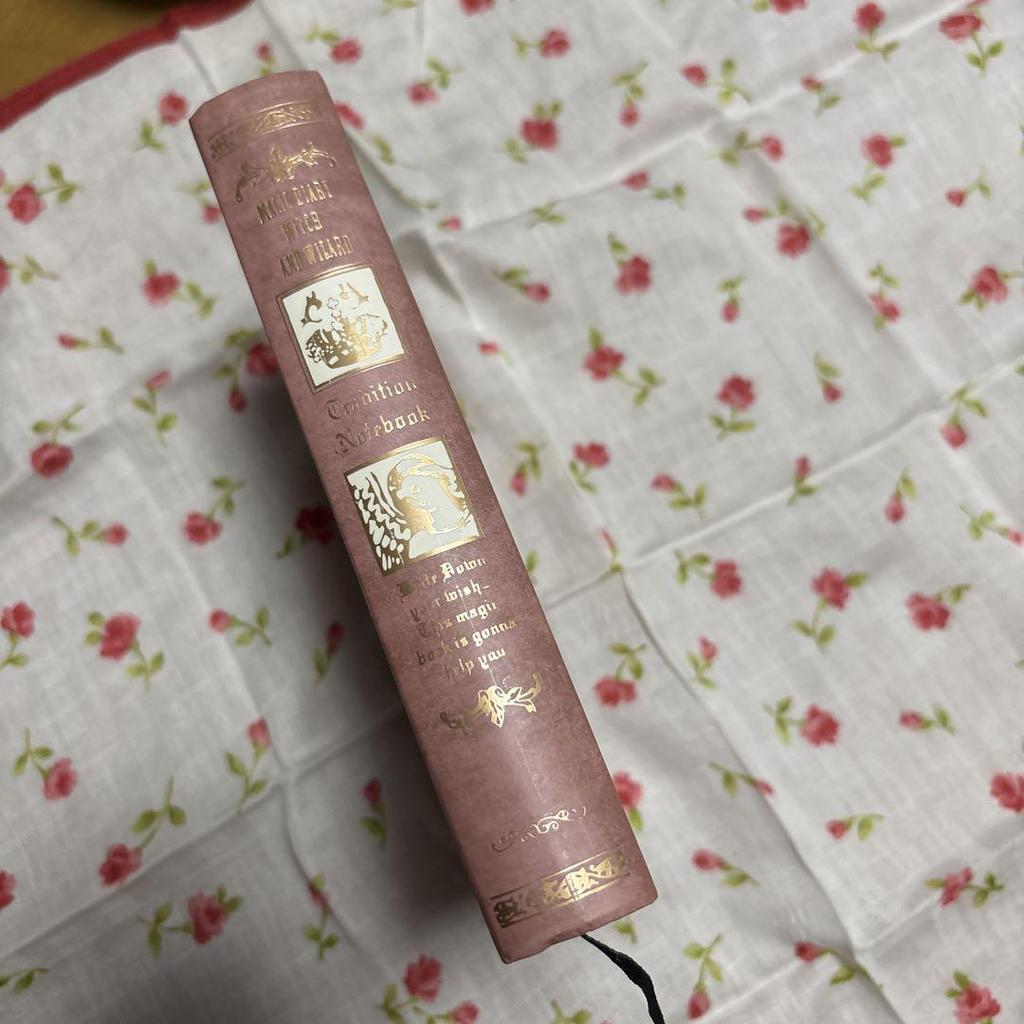 [GEBRAUCHT] Zaubersprüche Zauberbuch Tagebuch Notizbuch Harry Potter