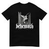 Üst giysisi – T-shirtler