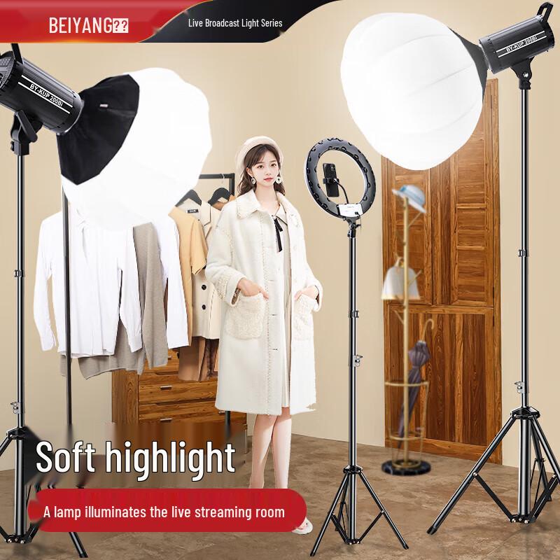 

Beiyang LED Spherical Fill Light