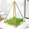 Nordic Glass Dome Geometric Greenhouse Vase: Decorative Flower Ornament for Home or Coffee Shop