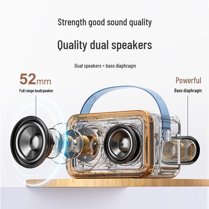 Newmine DP97 Wireless KTV Microphone & Bluetooth Speaker Set