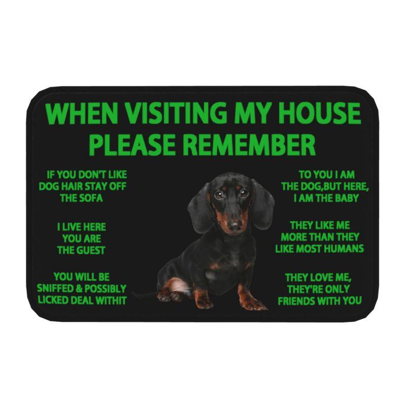 Lovely Pug Dog Front Door Floor Entrance Mats Outdoor Bathroom Kitchen Doormat Garden Carpet Rug
