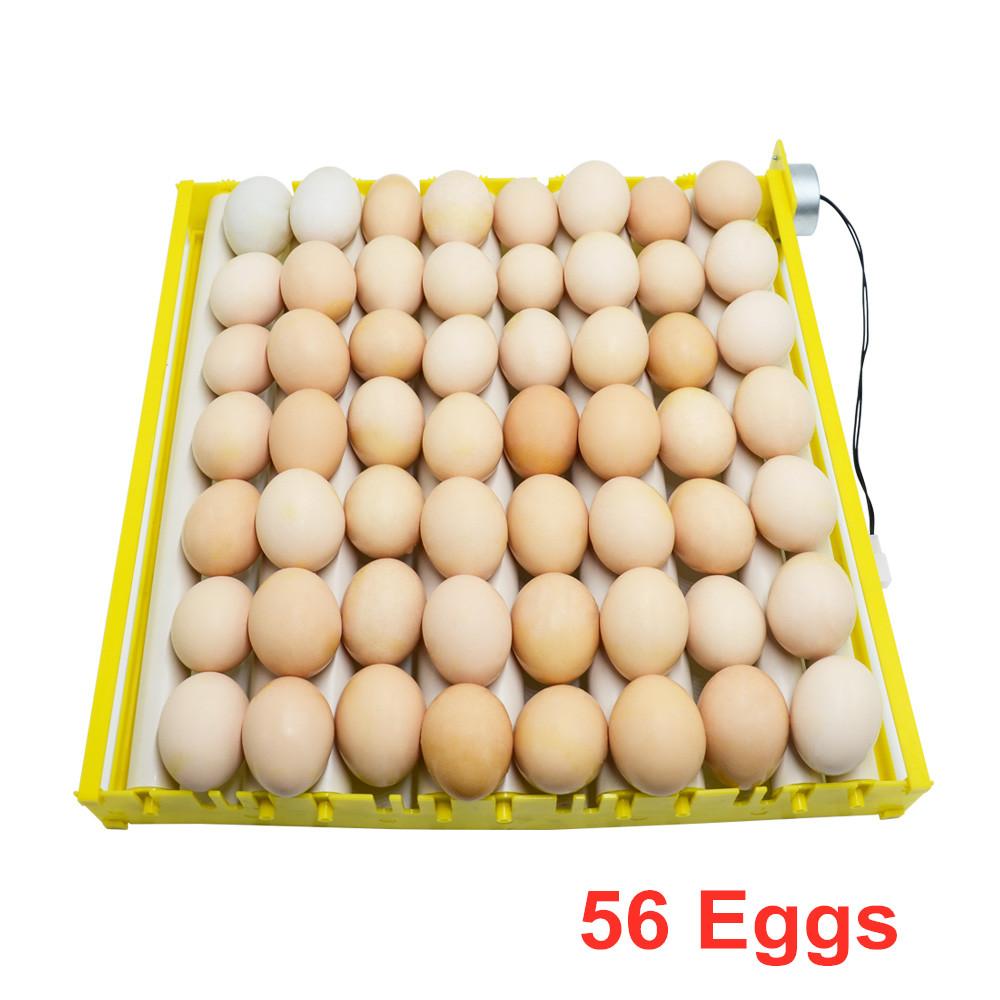 Automatic 360° Rotary Egg Turner Roller Tray 42/56/156 Eggs Hatching Incubator Farm Incubation Tool Duck Quail Bird Accessory
