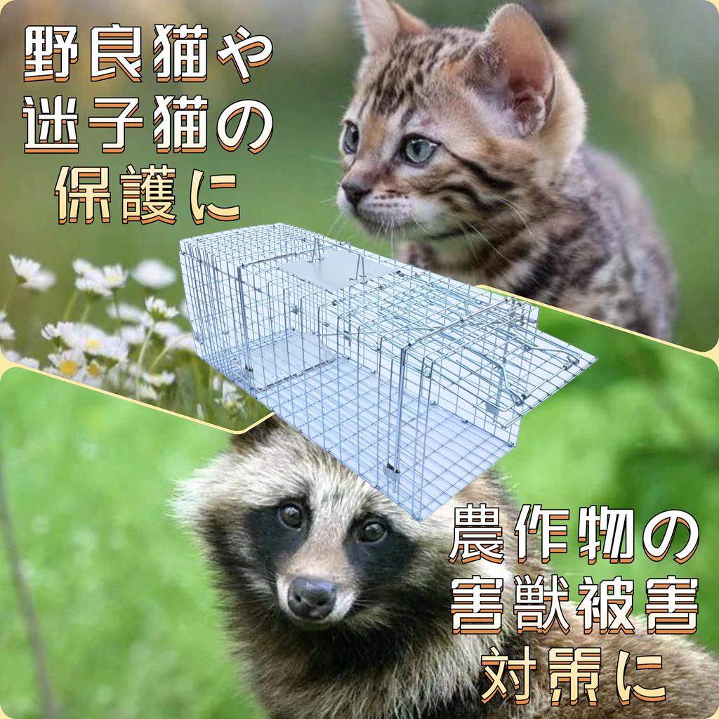 ONESORA Katzen Tierfalle mit Einfach und Schützt Streuner und Verlorene Verhindert Schädlingsbefall an Ernte und Fängt Maskenpalmen und Marder x x Zoll x 18 x 21