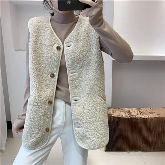 Women's 2023 Autumn/Winter Faux Fur Sleeveless Jacket - Korean Style Loose Fit Trend