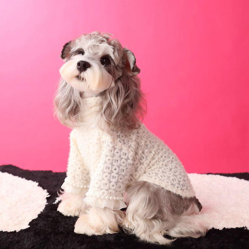 

Pet Hooded Down Jacket Dog Winter Jacket New Pet Two-legged Suit Jacket Warm Dog Down Jacket Puppy Schnauzer Bichon Dog Cloothes XS