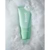 Calming Veggie Mugwort Scrub Foam
